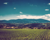 ddos在线攻击测试网站